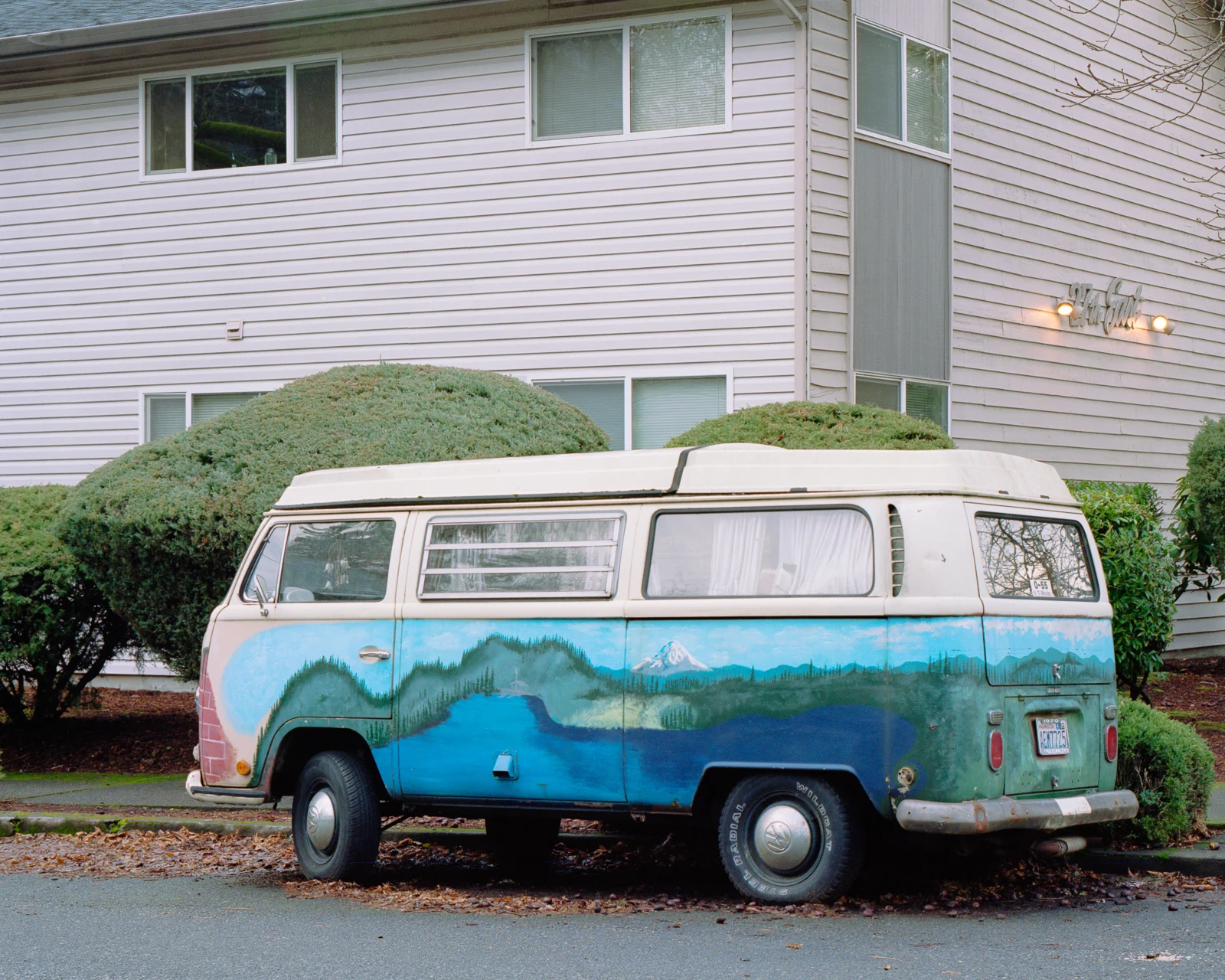 mounthood.jpg