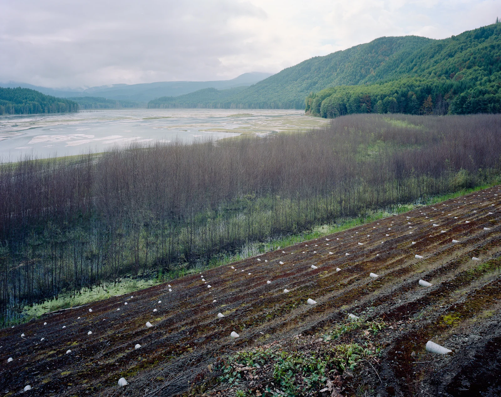 sedimentretention.jpg