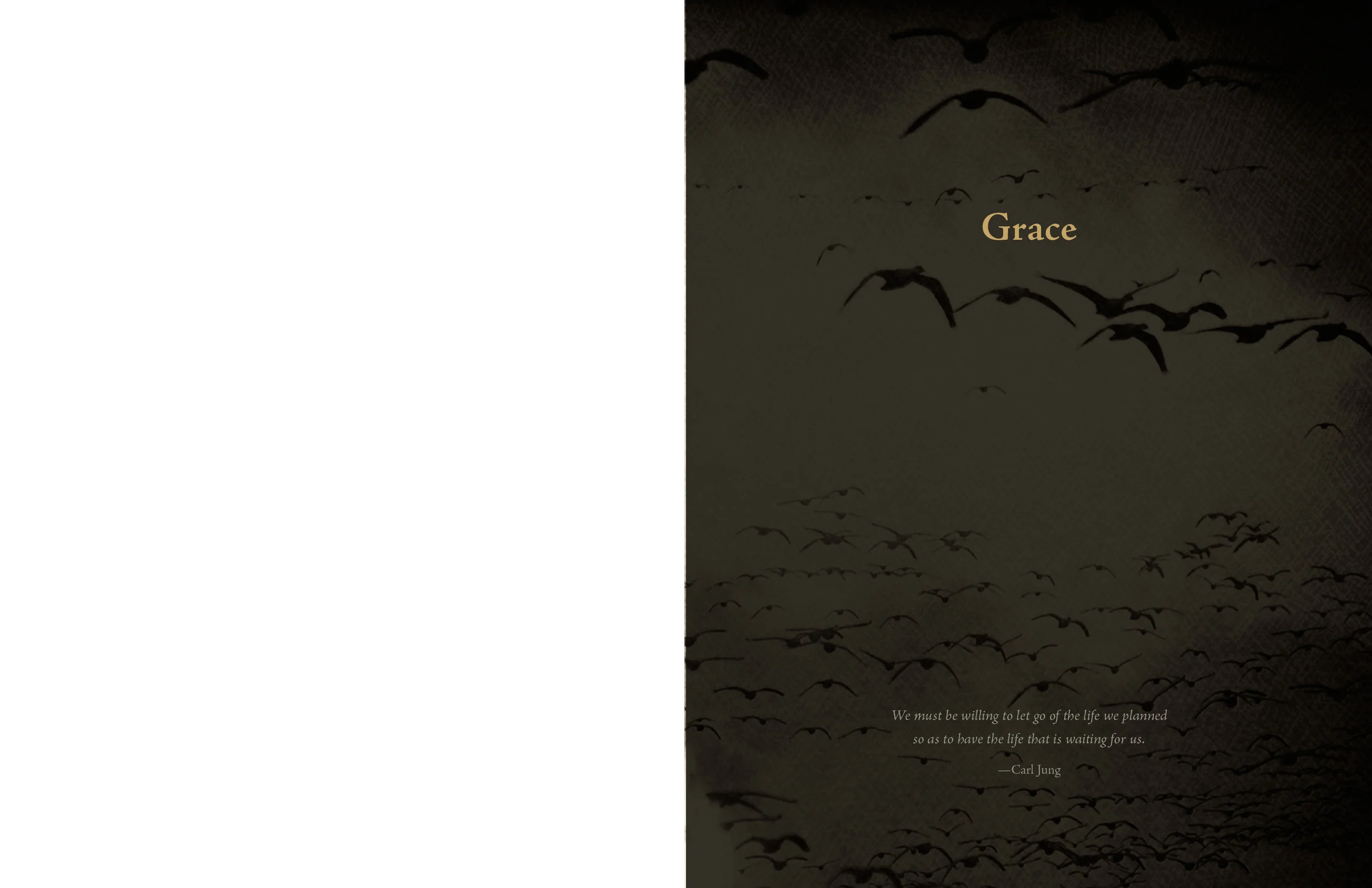 Chapter openers combine a text excerpt with a low contrast detail of one of the images to be seen later on in the unfolding image narrative.