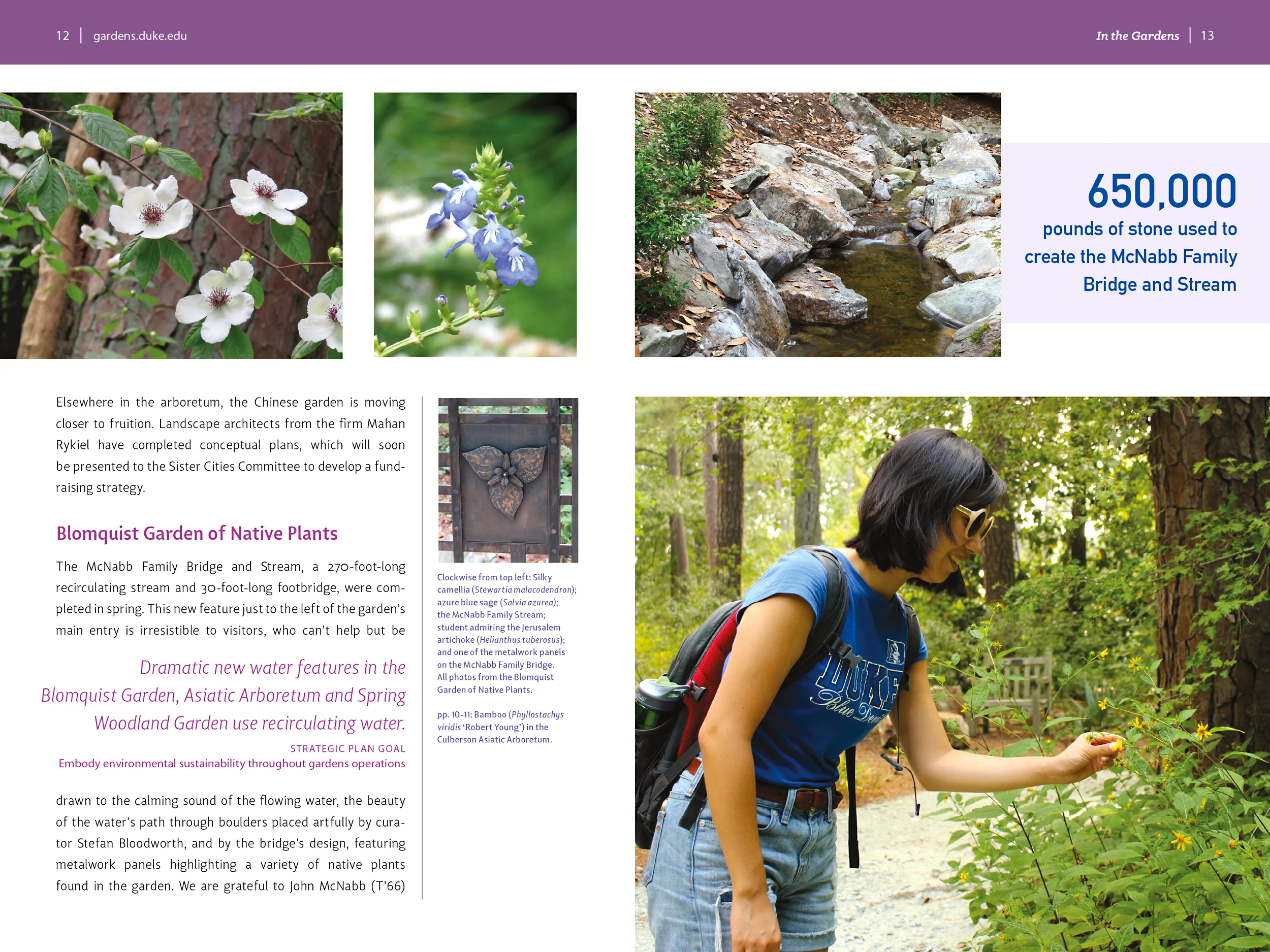 Typographic callouts to engage the reader who first skims the layout.