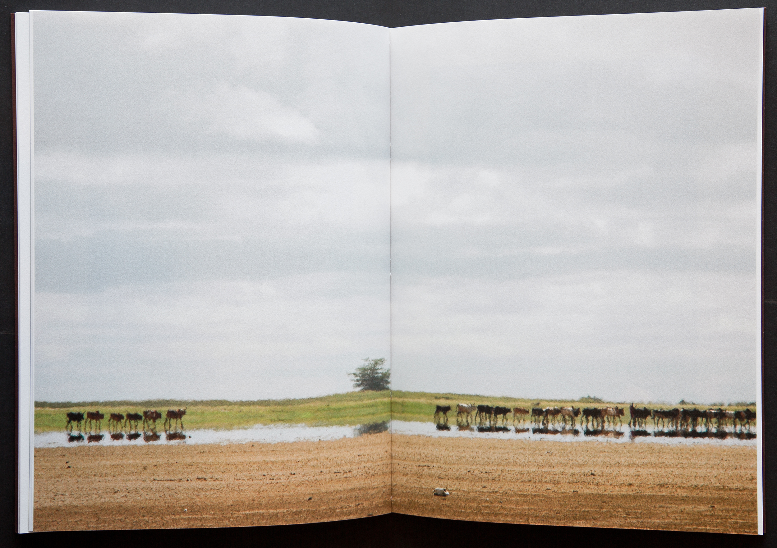  Some of the landscape photographs were printed as two page bleeds to powerfully put the reader in the scene.&nbsp; 