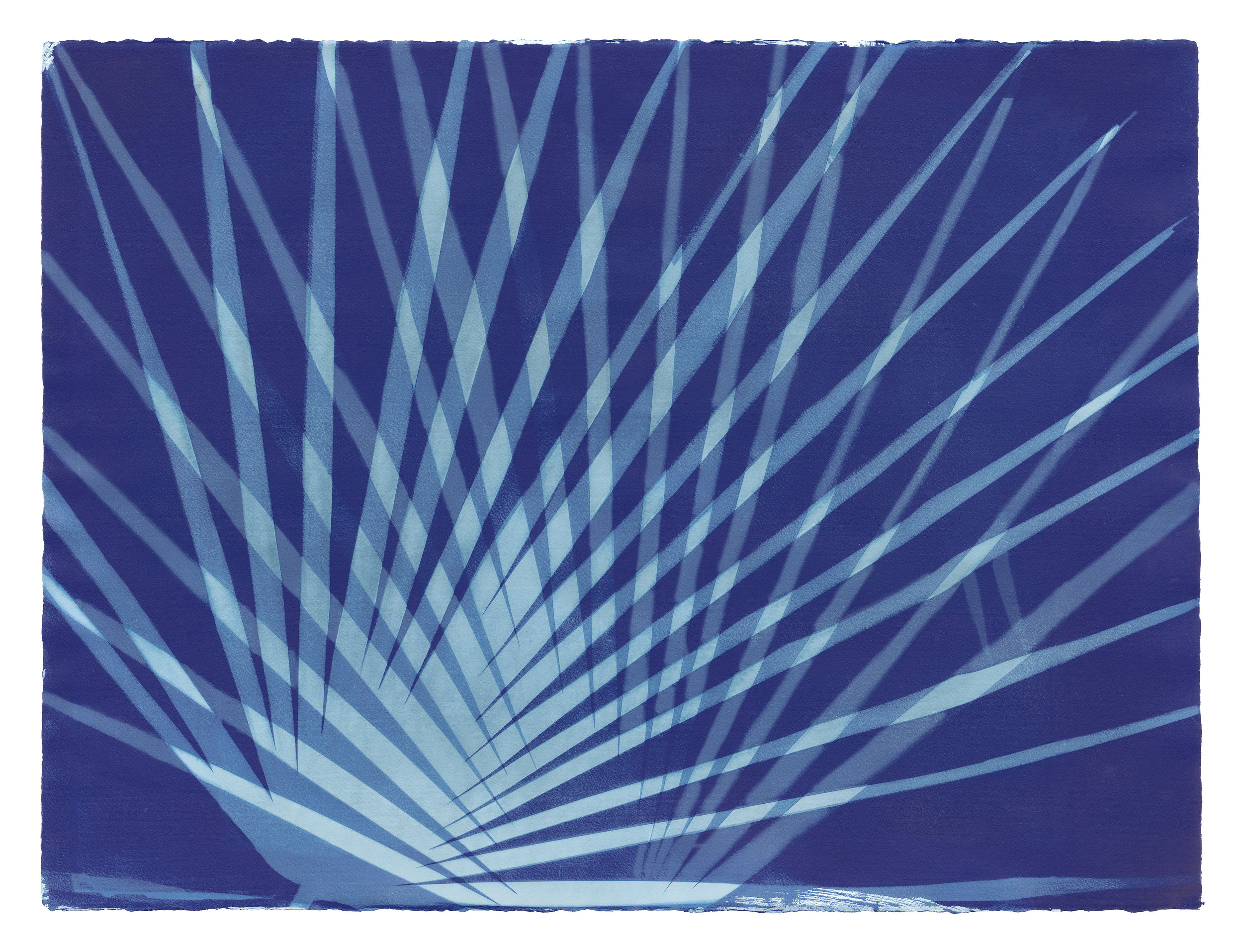 Erica Gimson. Textile cyanotype print. Erica had a two person exhibit here in March/April along with her husband Sean Livingstone (paintings) and we are delighted they both left behind a small number of works