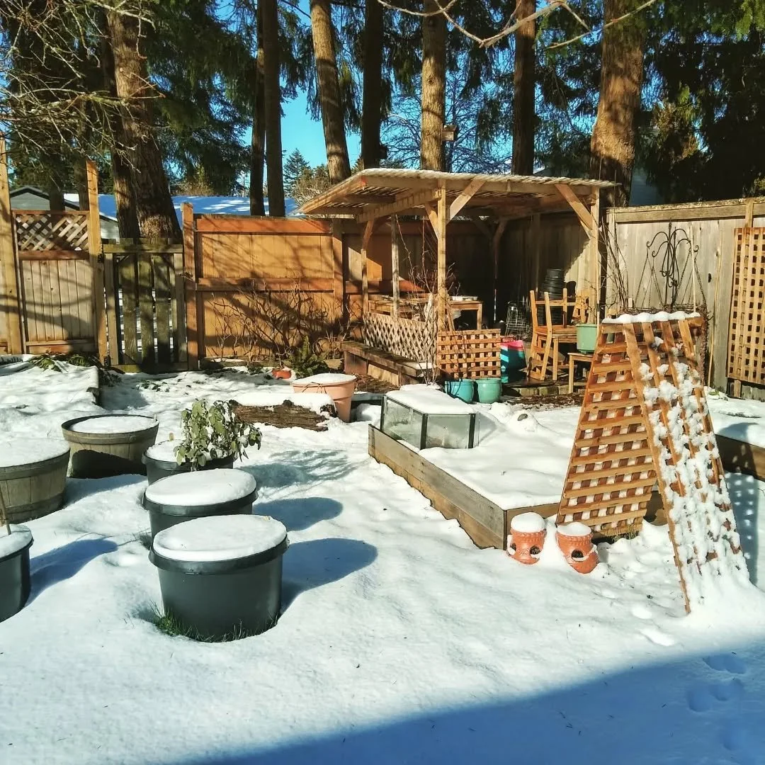 There's so much snow here! After surviving all winter, I think my kale, tatsoi, and broad beans might have bit it. :( Snow is quite rare here and it's already melting, so fingers crossed everything survives this setback.

Any other gardeners out ther