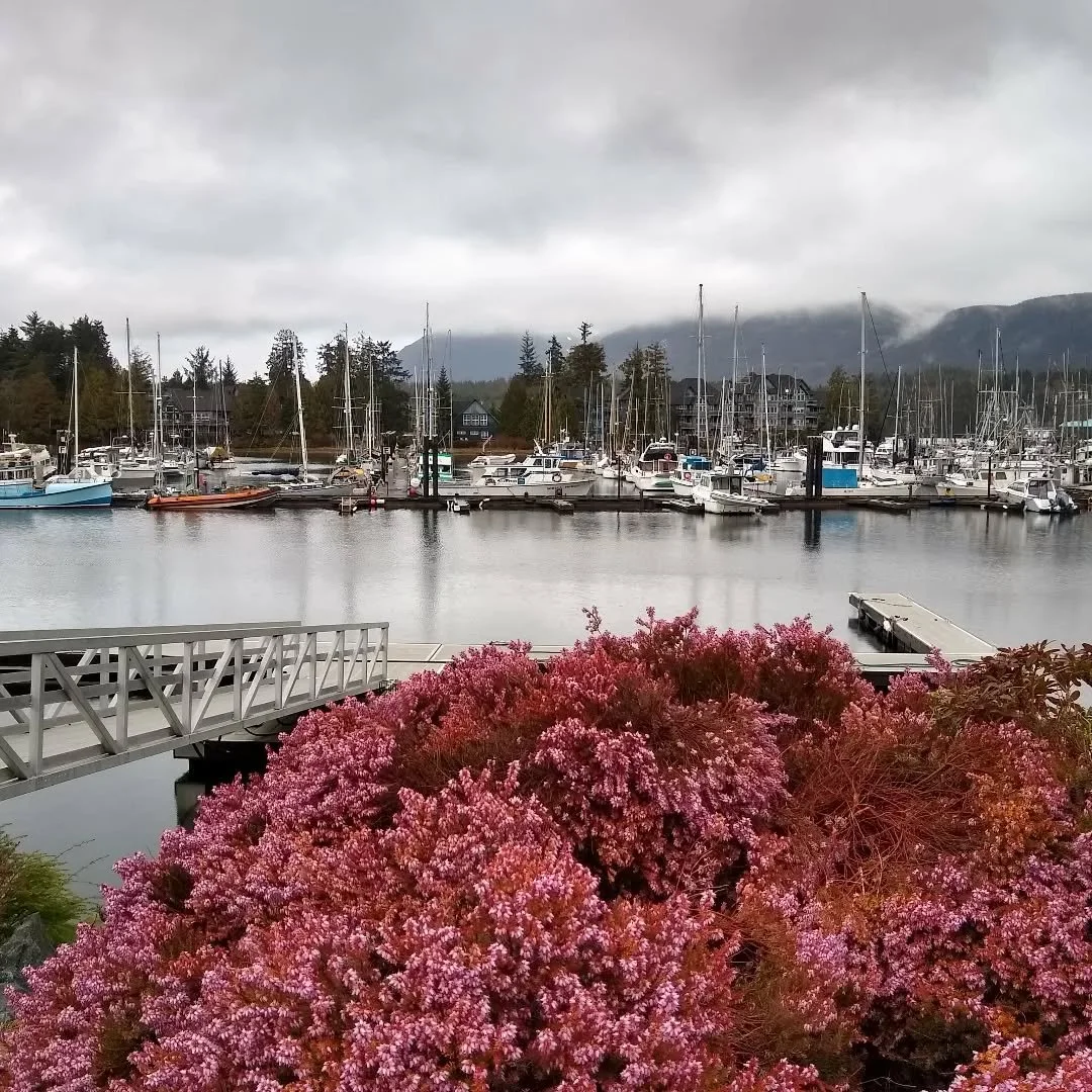 Spent some time in Ucluelet. Admired the waves, walked in rain, combed some beaches for treasures. This little town is so healing 🌊

.
.
.

#writersofig #writeronvacation #uclueletbc