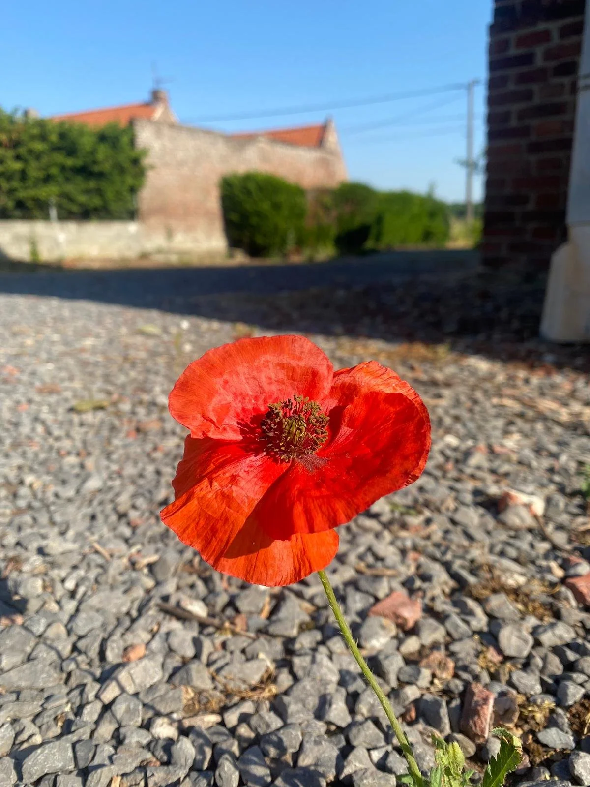 WhatsApp Image 2023-06-27 at 11.57.37.jpeg