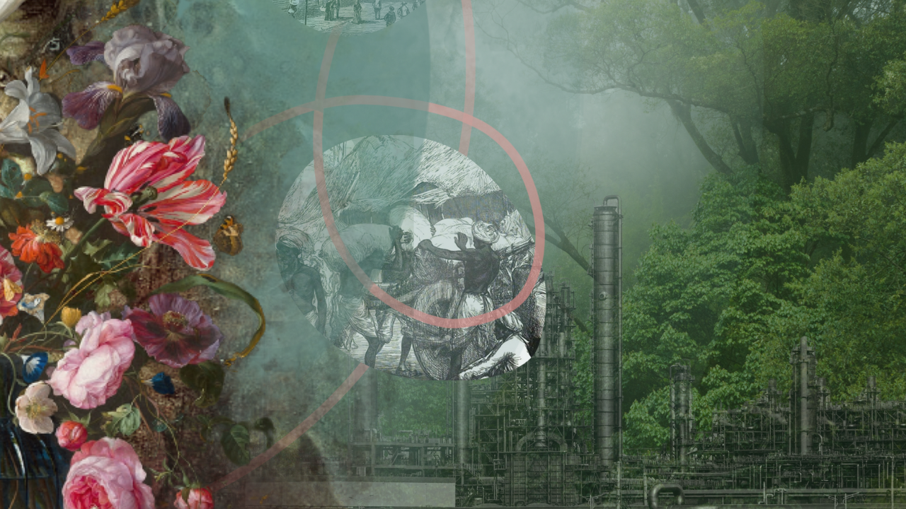 Colonial patterns that hide within all of us