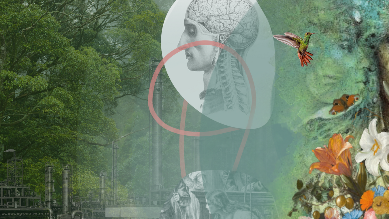 Why decolonization is woven into our Regenerative Leadership Journey