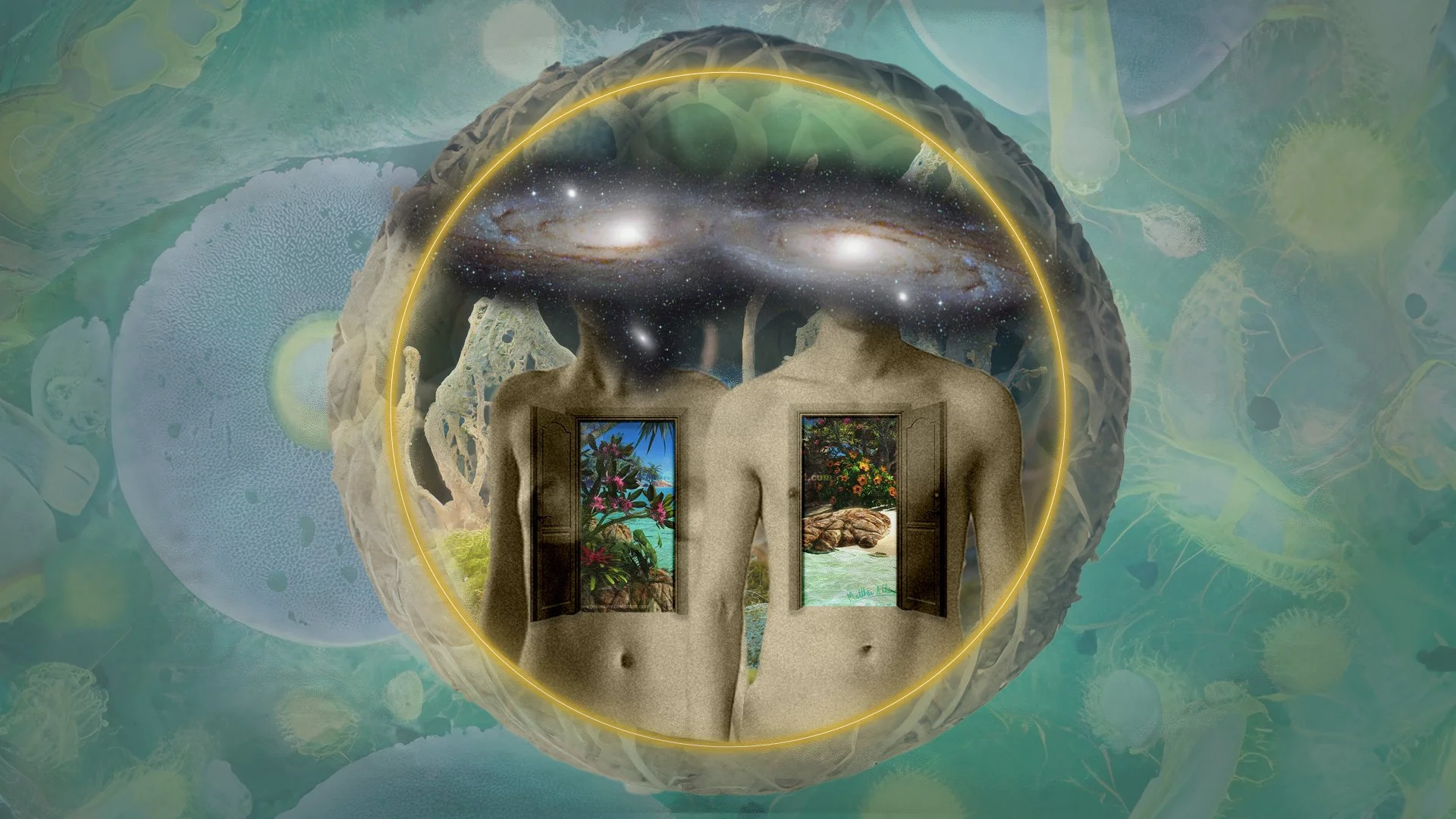 Postcard from our Regenerative Leadership Journey