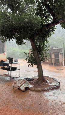 Untitled design (1).gif