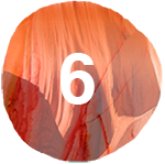 MODULE 6: Regenerative Leadership Capacities