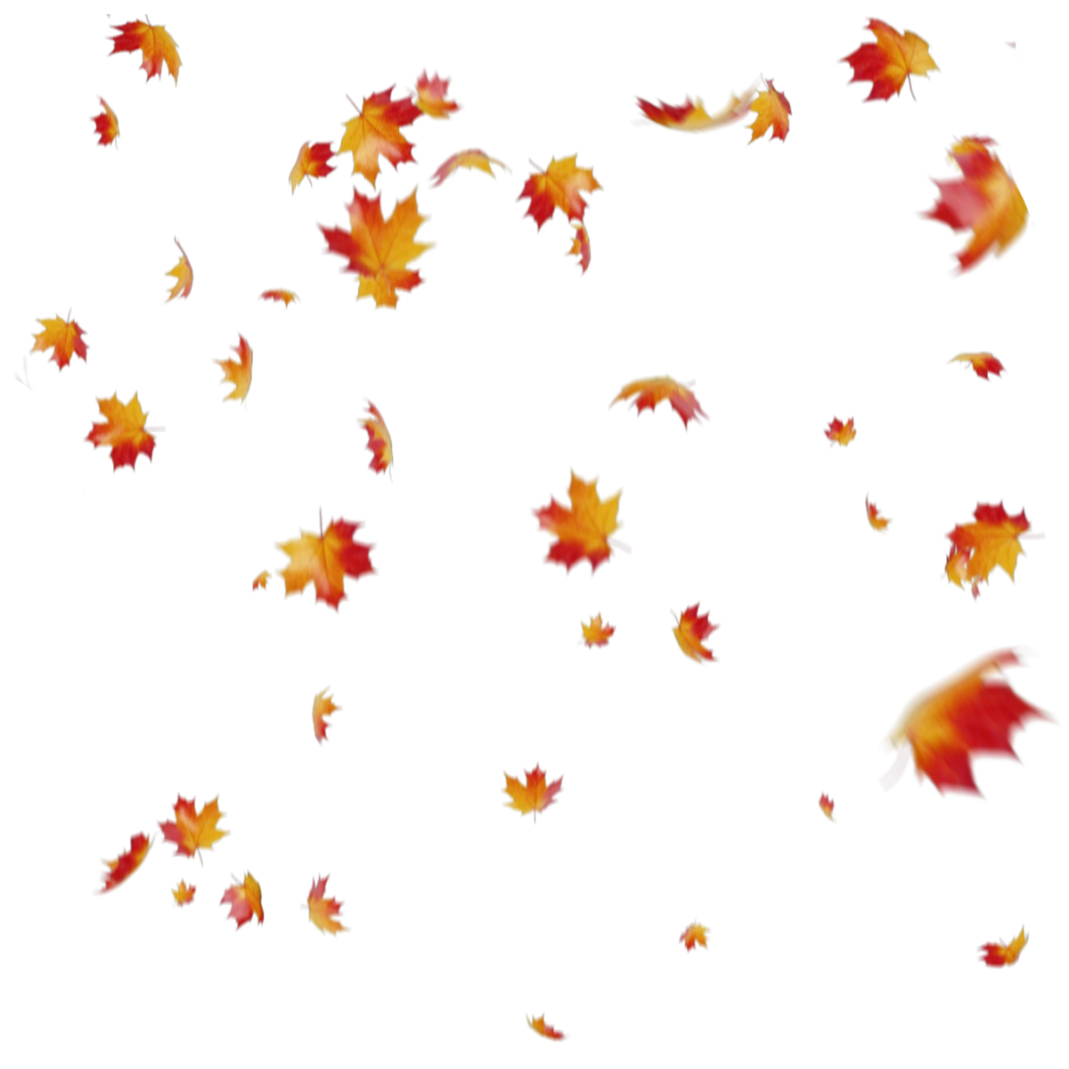 Falling autumn leaves around a university sign with the words "Welcome to the University of California."