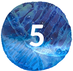 MODULE 5: The DNA of Regenerative Business