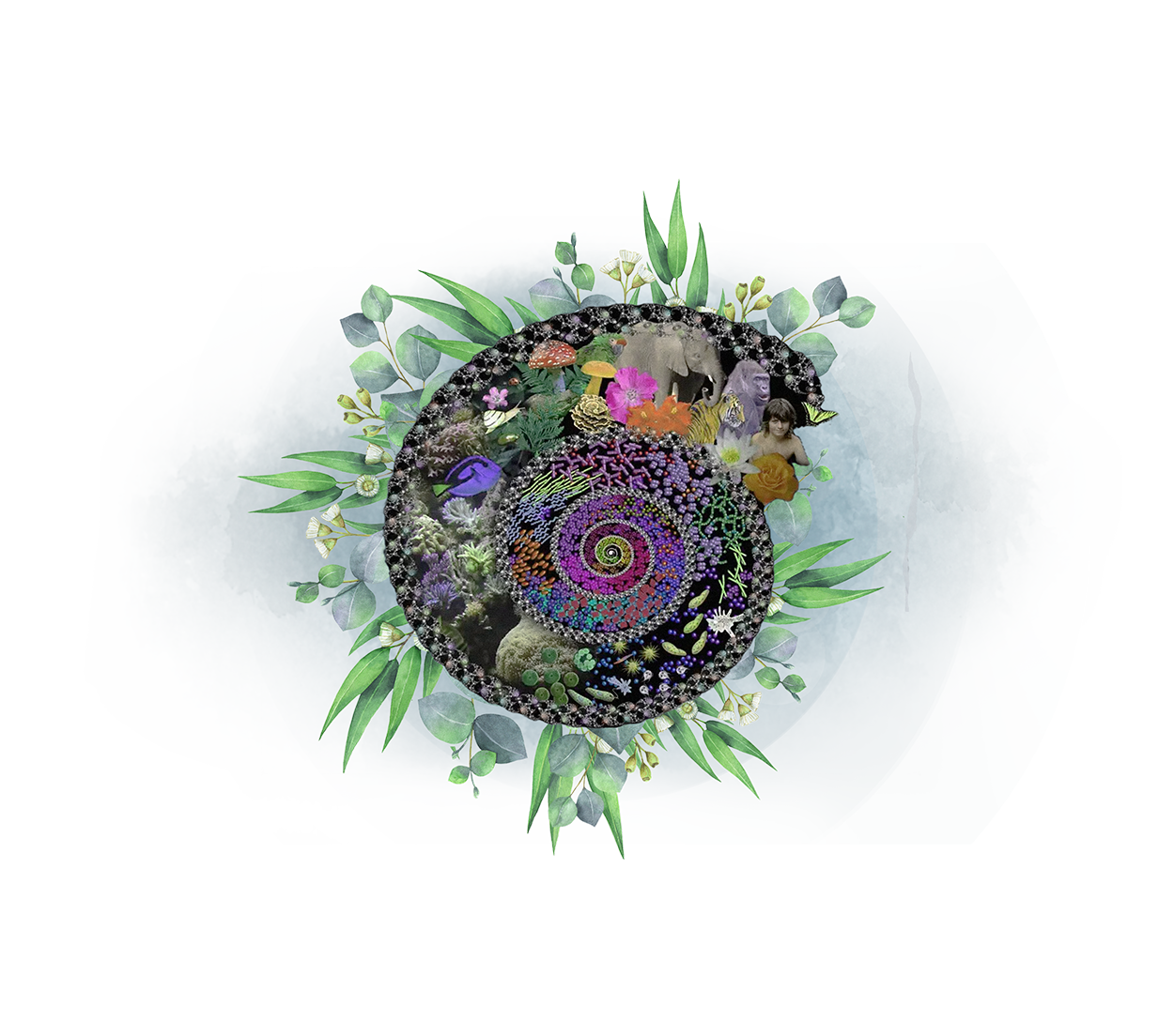 Digital artwork depicting a spiral galaxy surrounded by greenery and various animals, flowers, and a child, blending cosmic and natural elements.