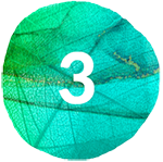 MODULE 3: Learning from Nature