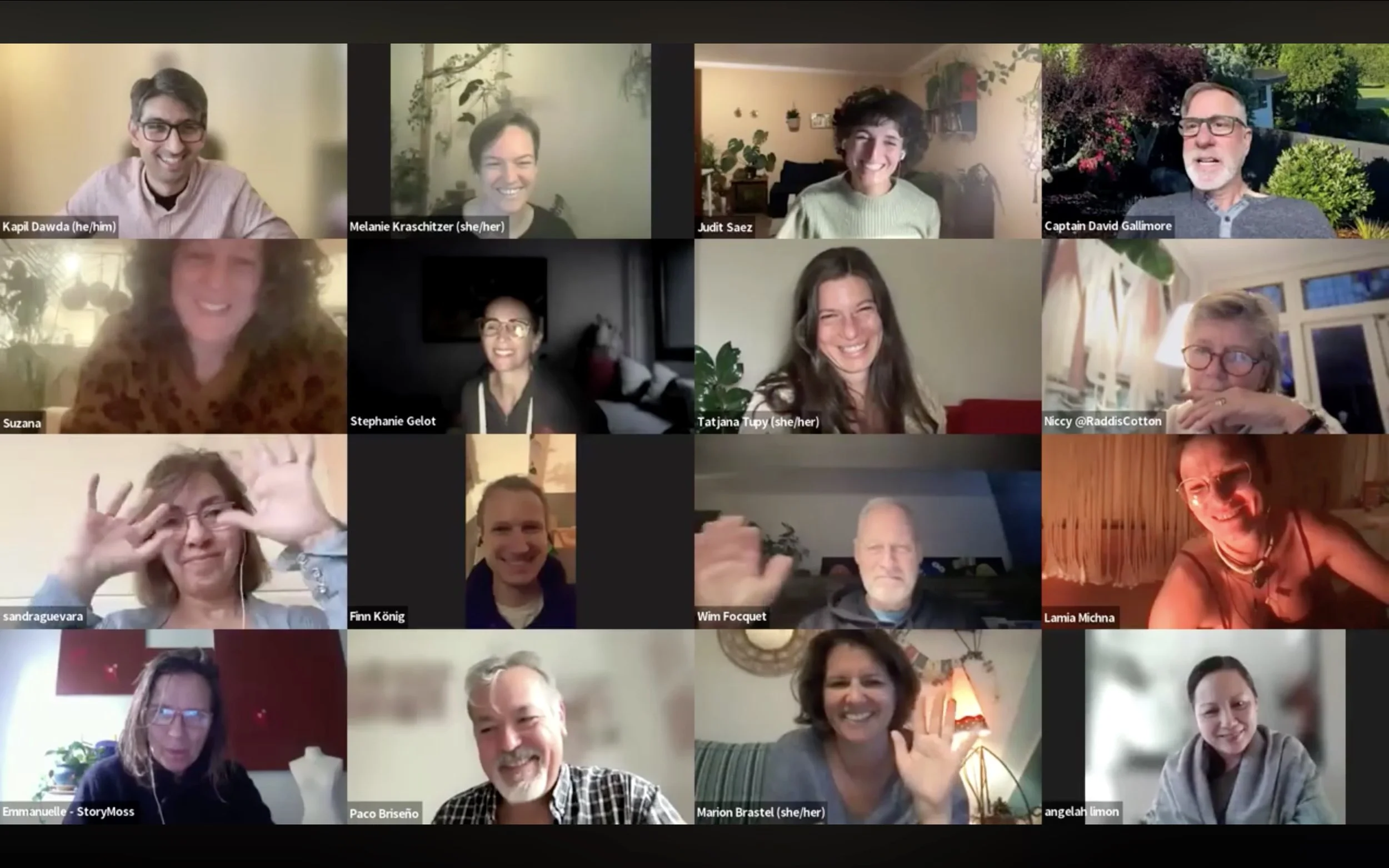 Screenshot of a virtual Zoom meeting with 16 diverse people, each smiling or waving in their individual video panels.