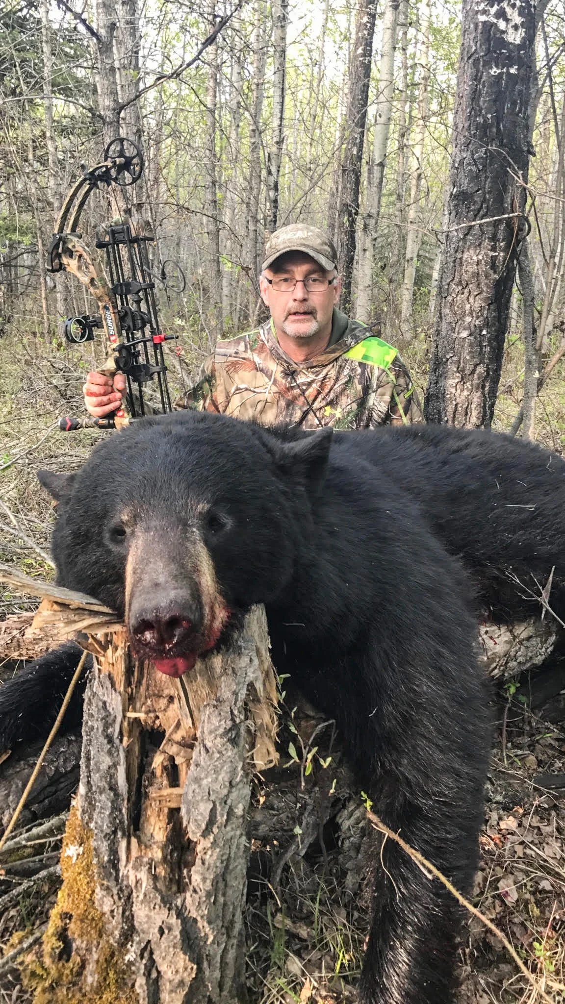 Kevin's Big Black Bear