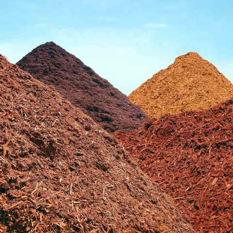 Mulch Piles (1).jpg