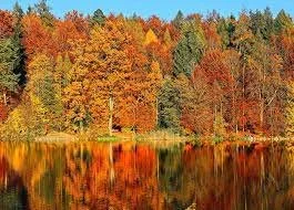 St. Paul's - Fall Colours.jpg