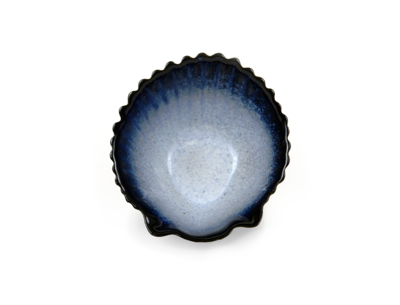 sm shell.jpg