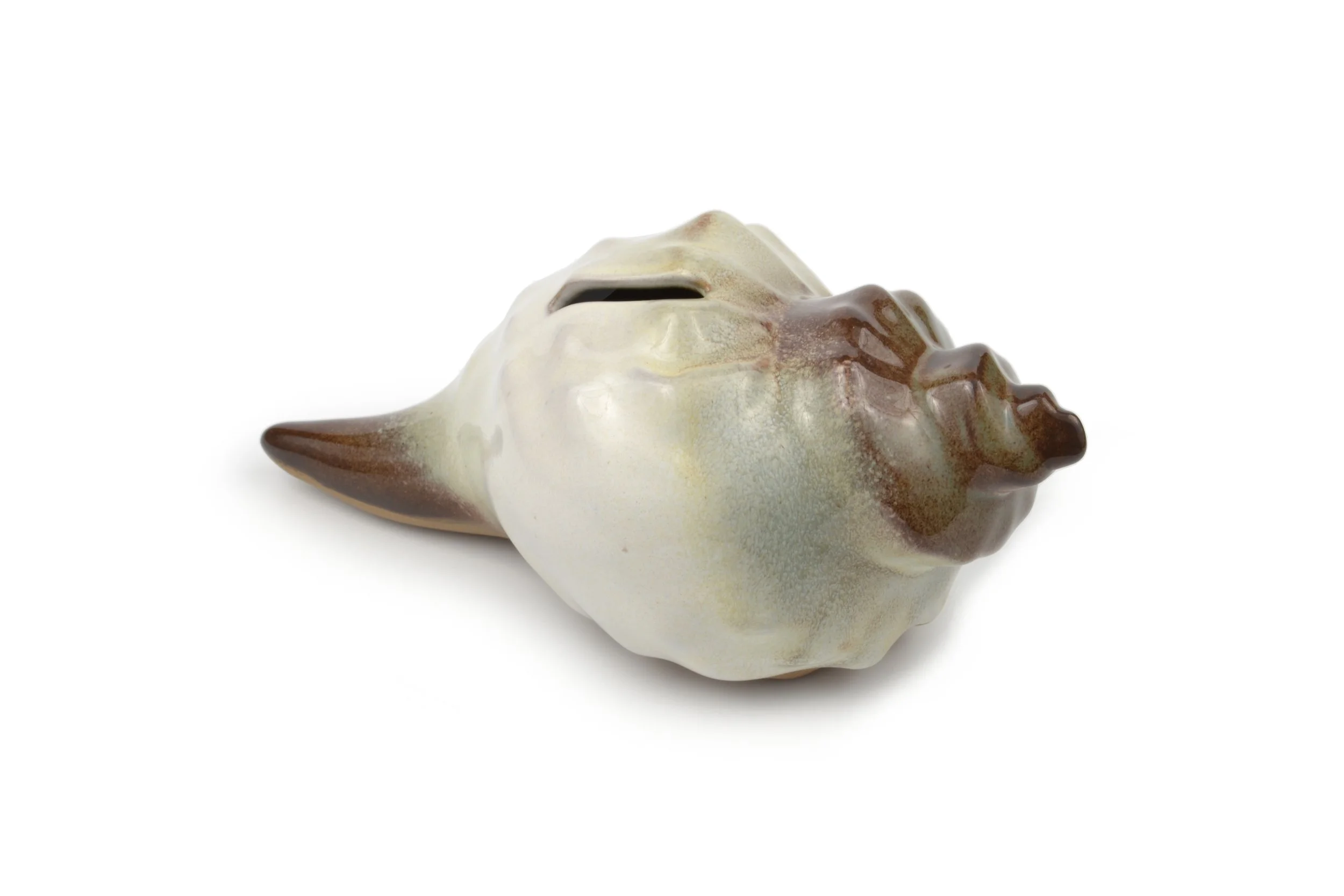 Shell Bank Brown.JPG