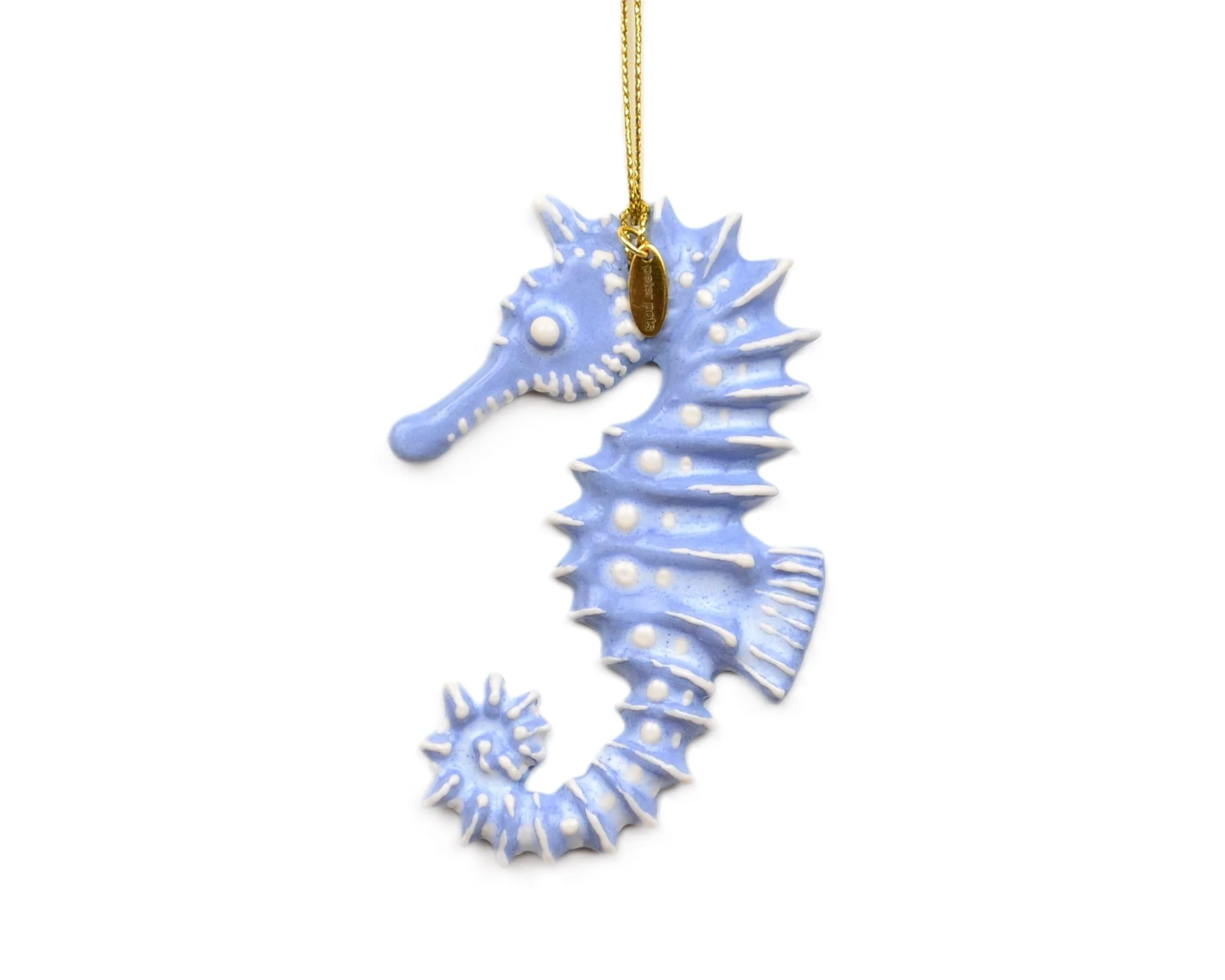 seahorse wt bg.JPG