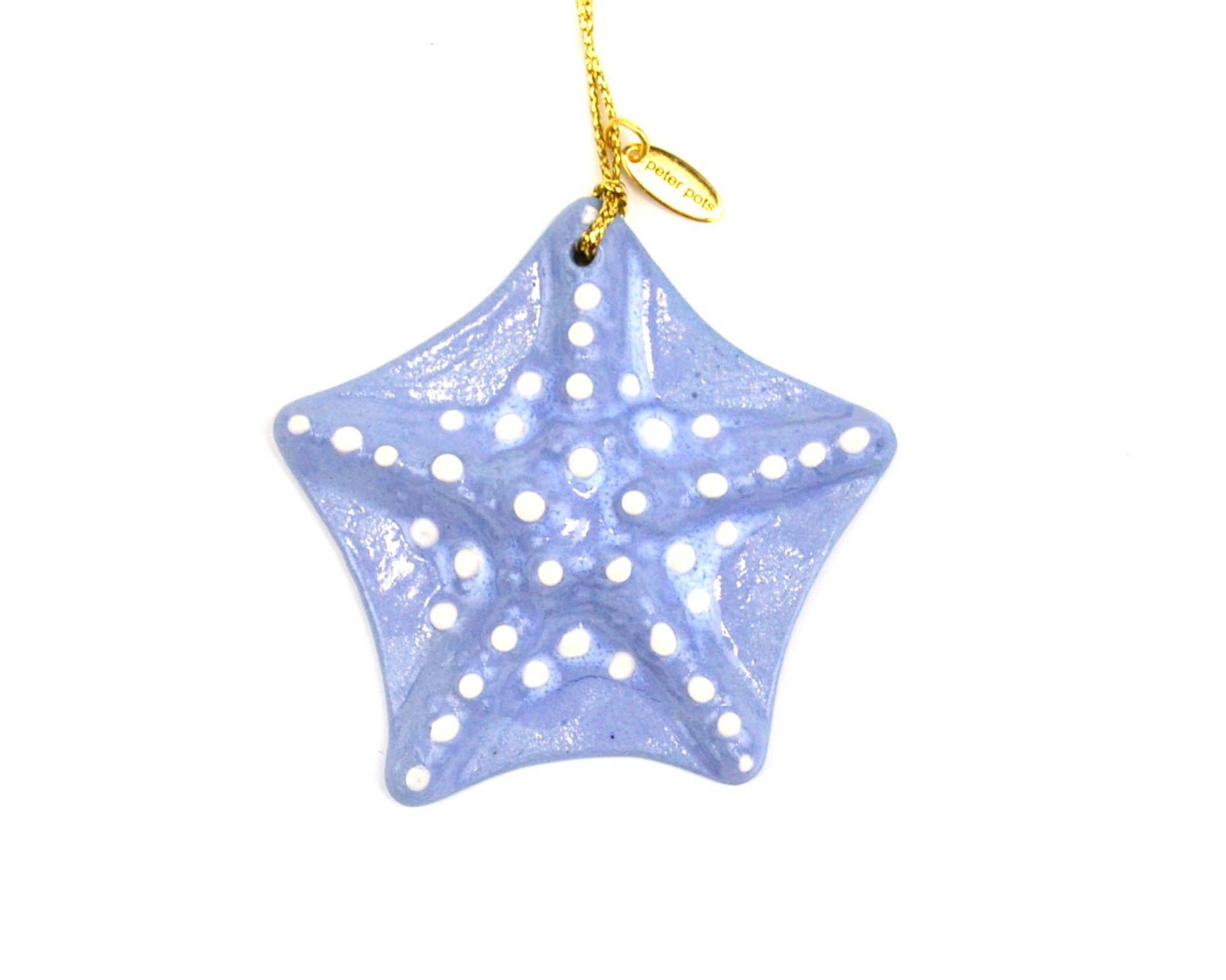 ornament blue starfish.JPG