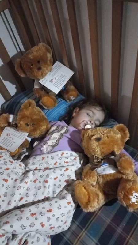 Teddy Bear Donations to Israel