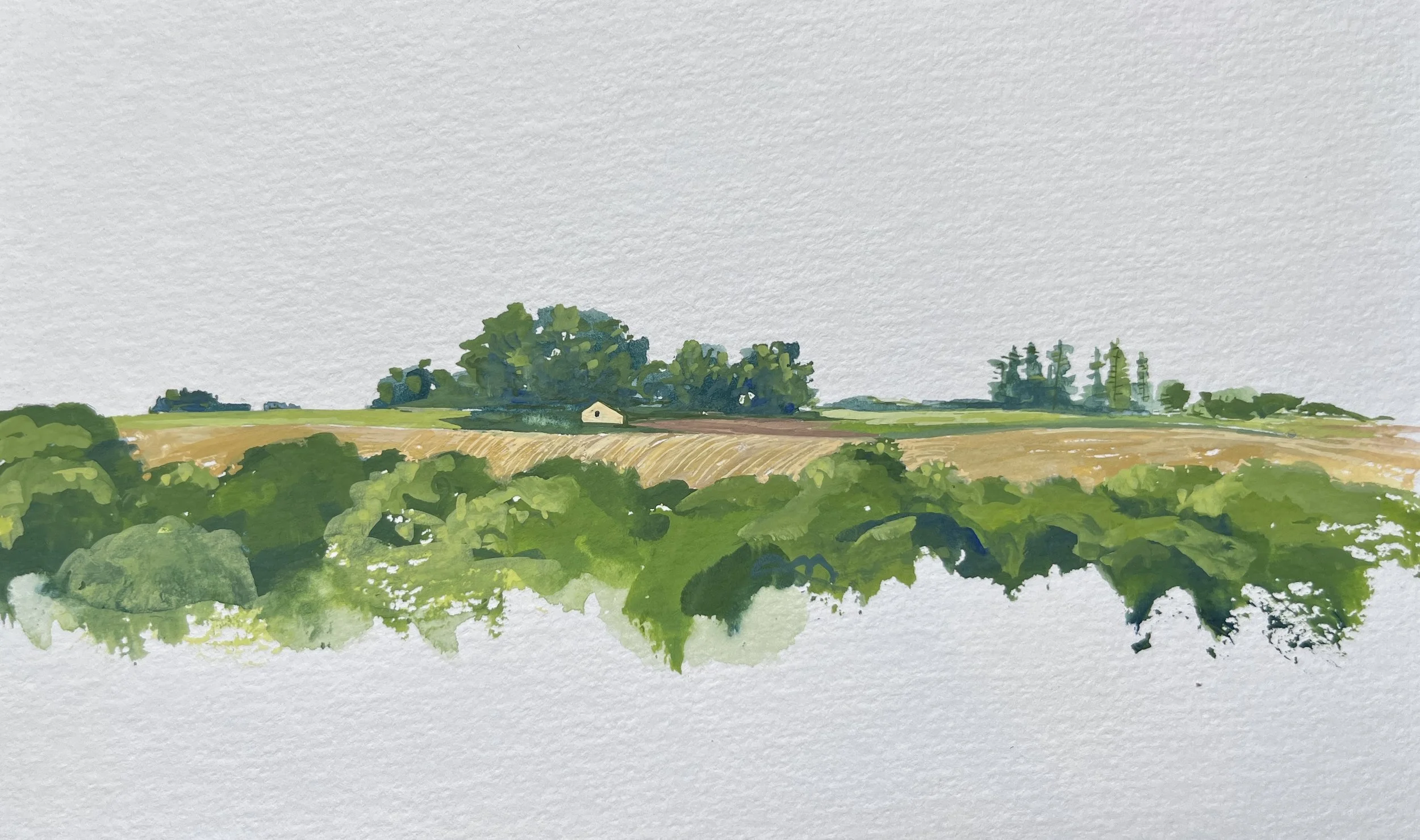 View from the Chateaux