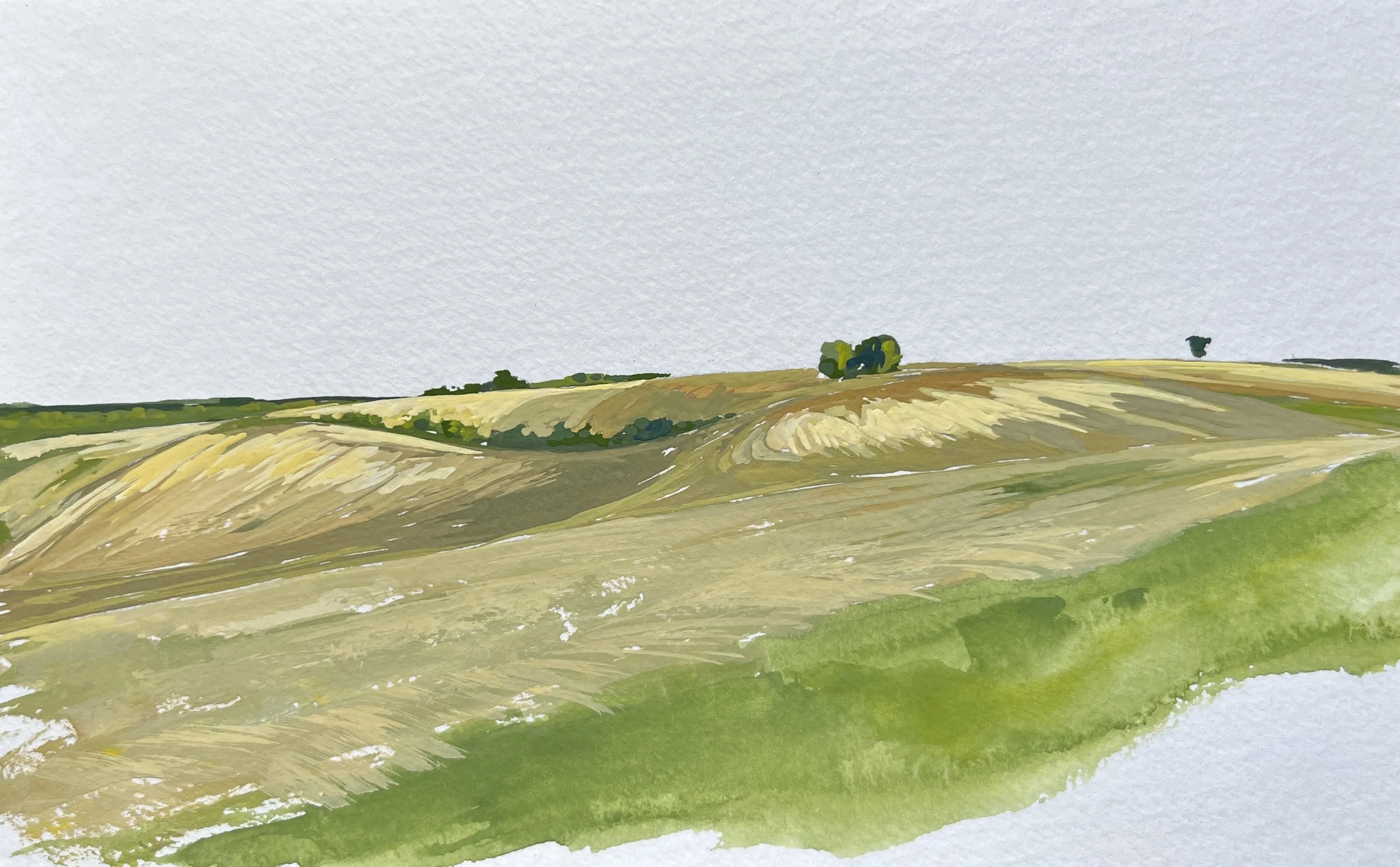 France's Rolling Fields