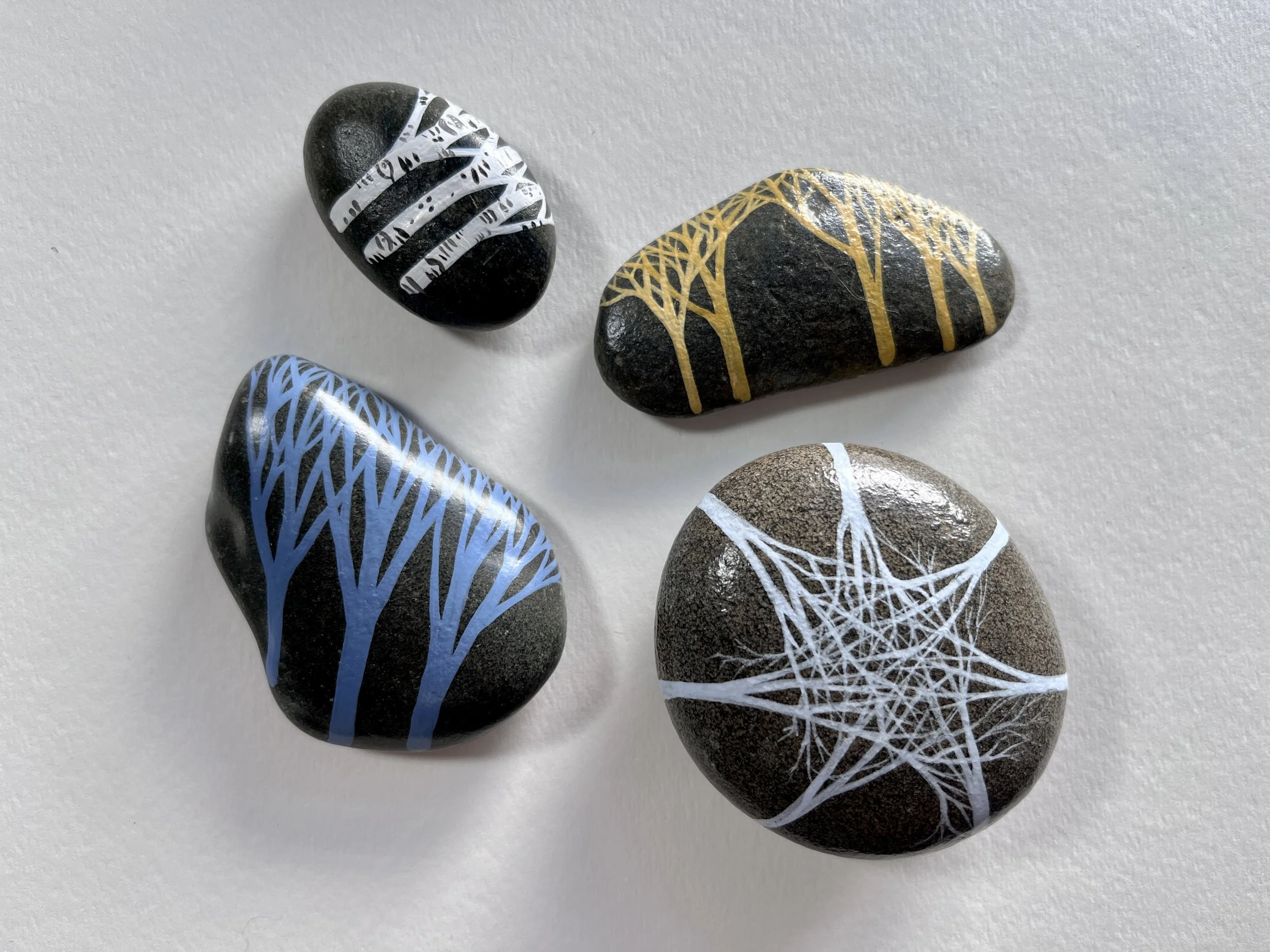 Various trees on river stones