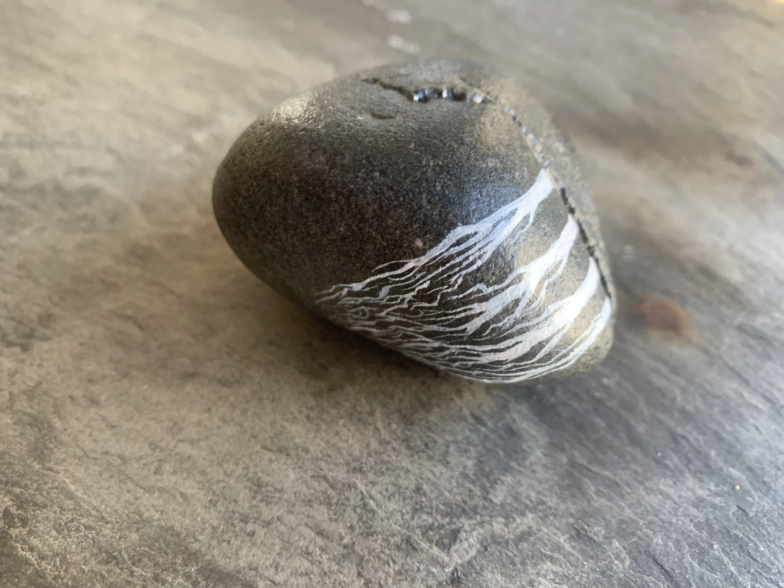 Trees on river stone