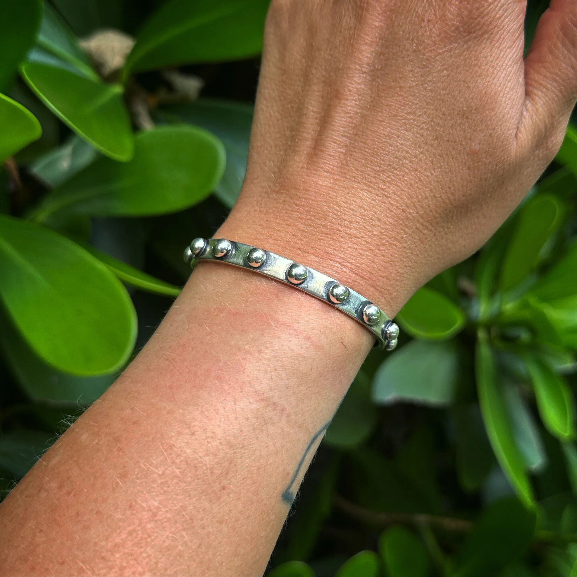 44DD493B-F7B6-49F8-9BD5-8C9968F91BC5