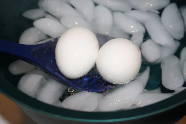 egg4.jpg
