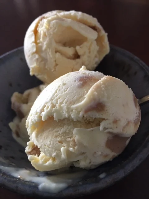 Vanilla Peanut Butter Ice Cream