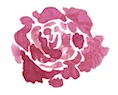 flower-bloom(small).jpg