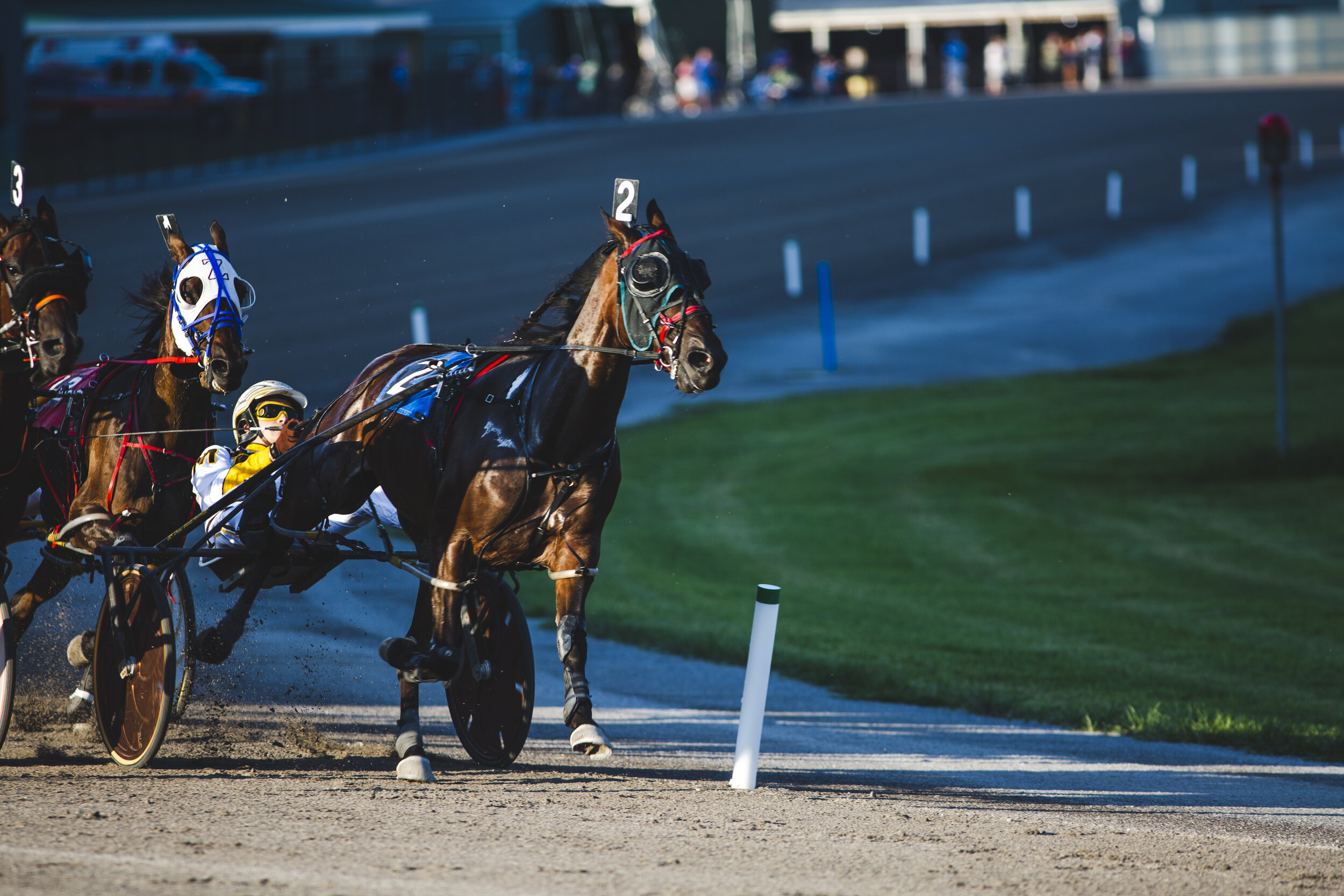 Drew Monti competes in a harness race at Batavia Downs in Batavia, NY.  