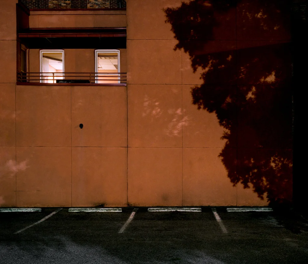 50032eeb46c93a6e-LargeTreeShadow.jpg