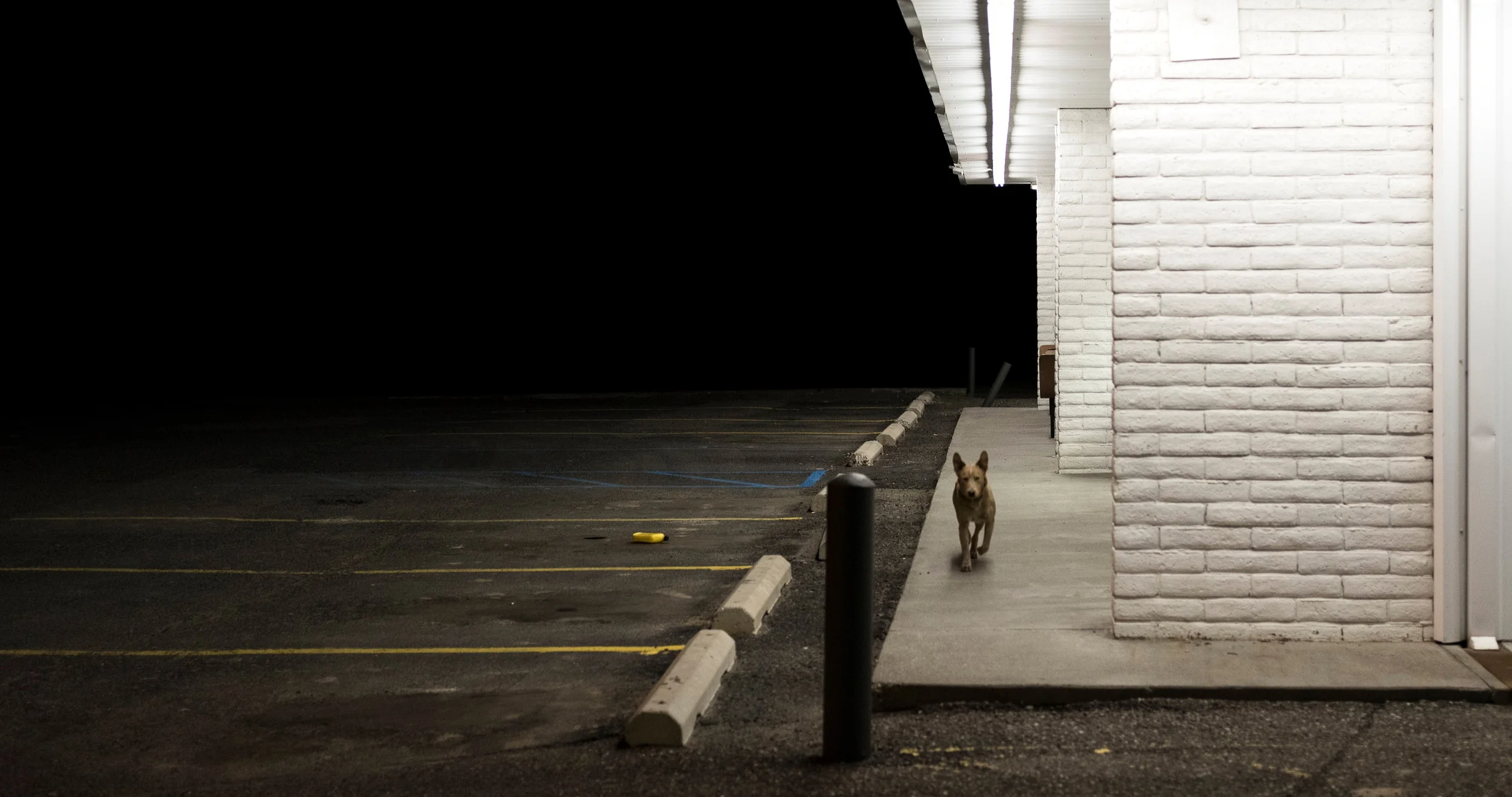 "This Is Bliss" Solo Exhibition at Griffin Museum of Photography