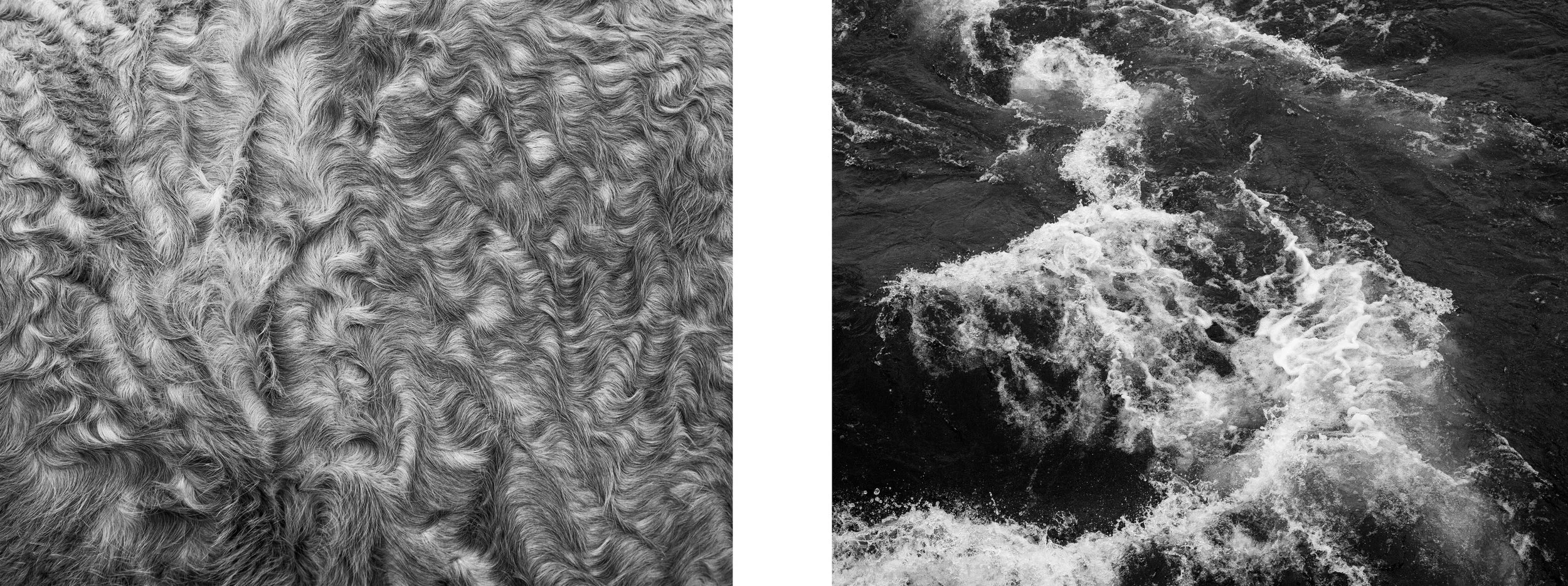 2019 Wisconsin Triennial at Madison Museum of Contemporary Art