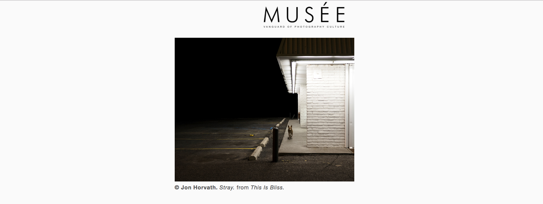 "This Is Bliss" Featured in Musee Magazine