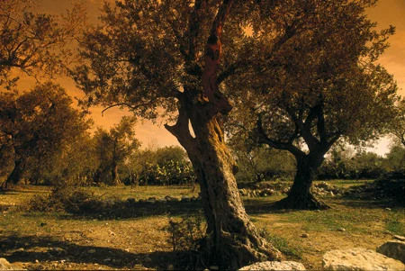 "Make Me Think Beautiful Unexpected Thoughts"