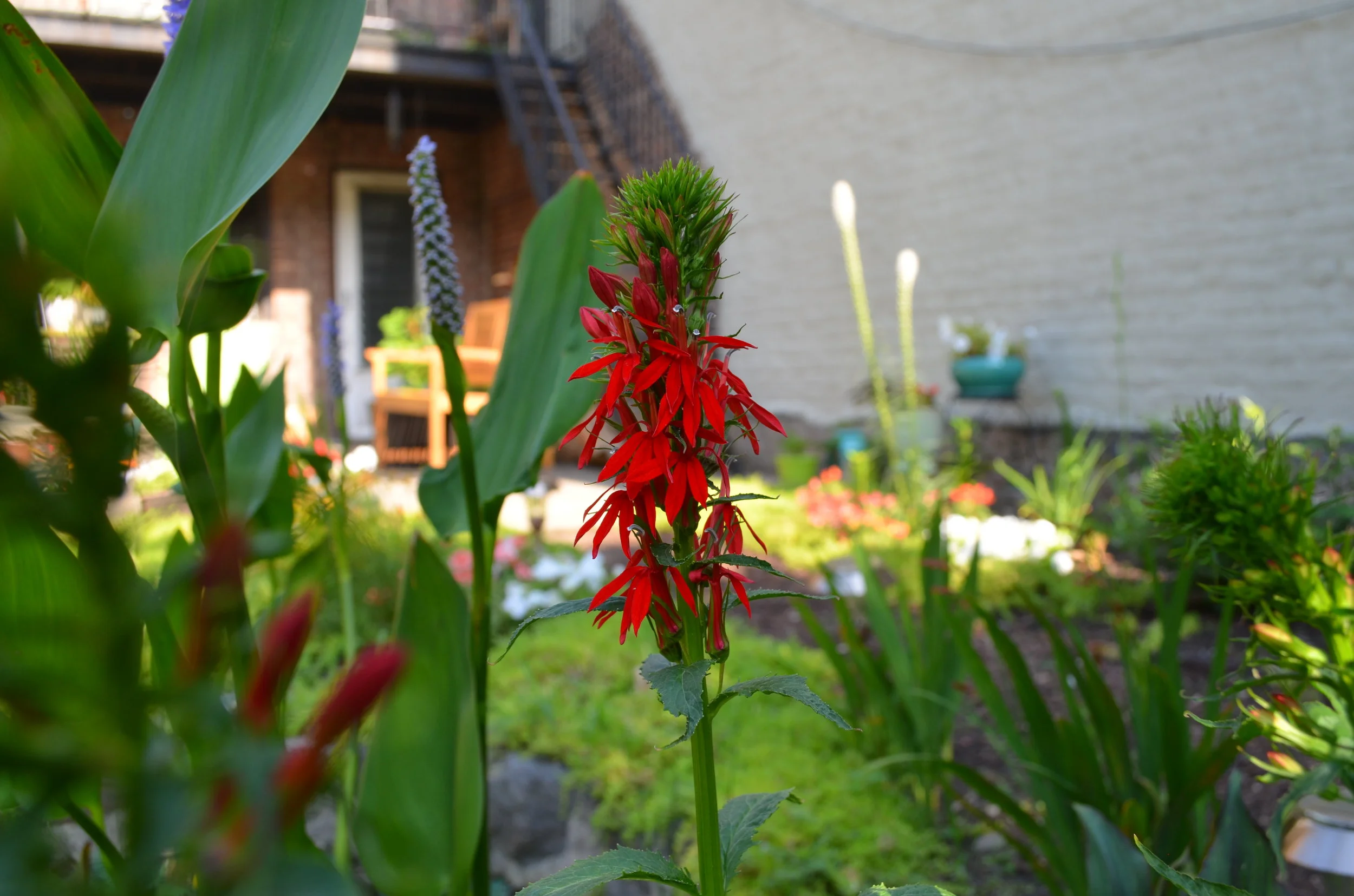 dsc_0382.jpg