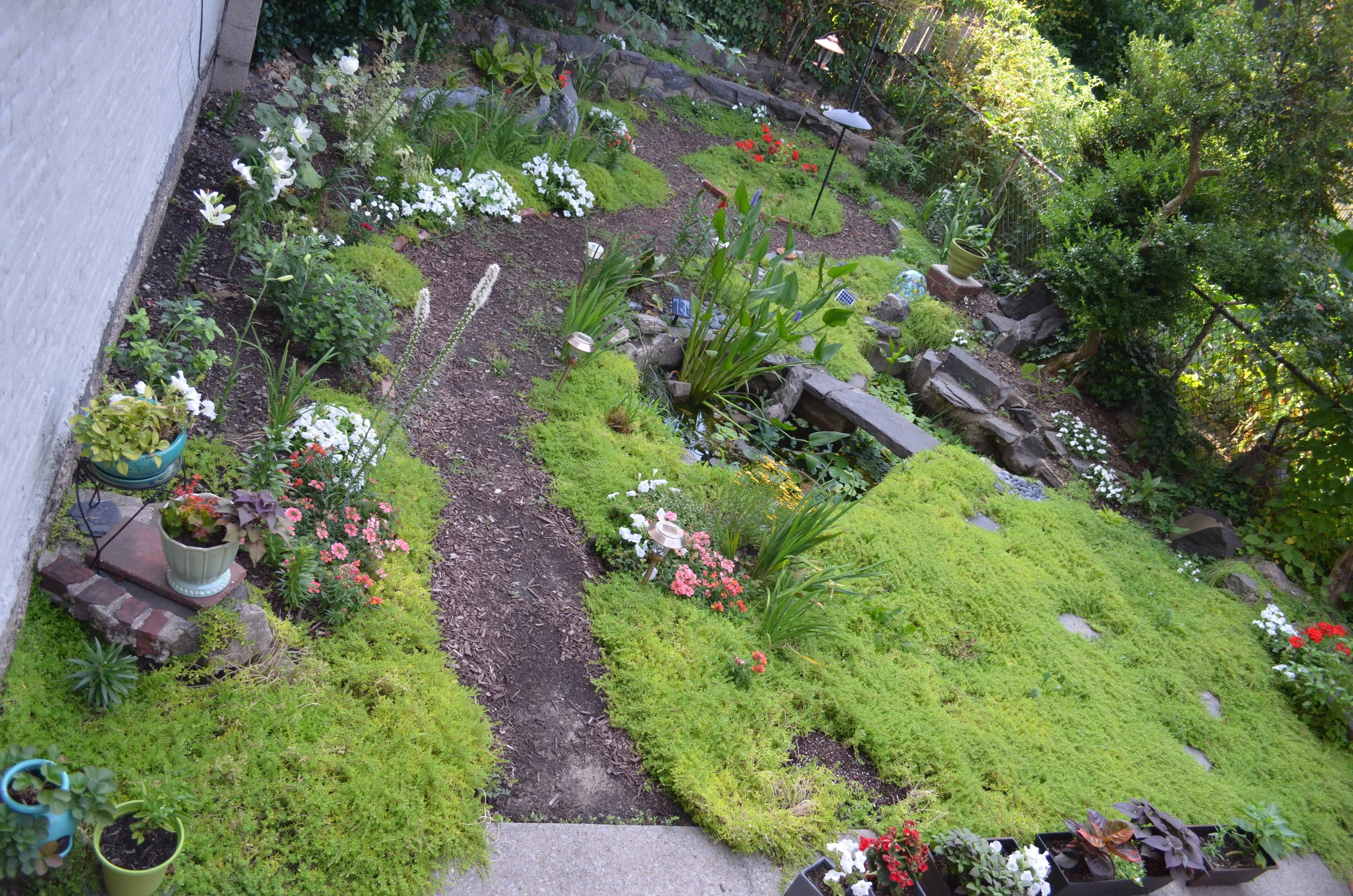 dsc_0396.jpg