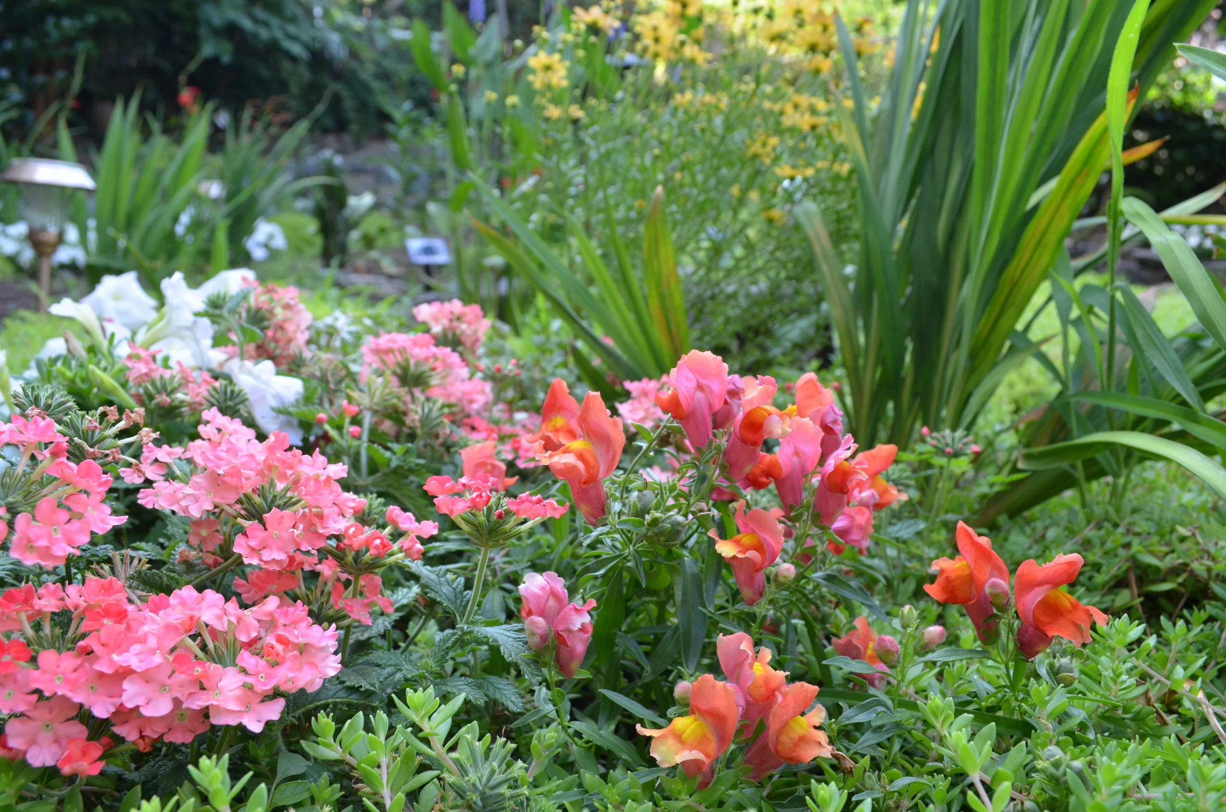 dsc_0400.jpg