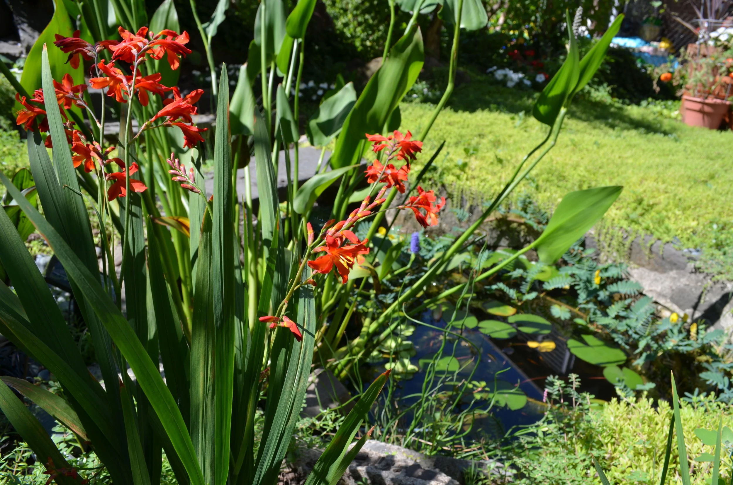 dsc_1030.jpg
