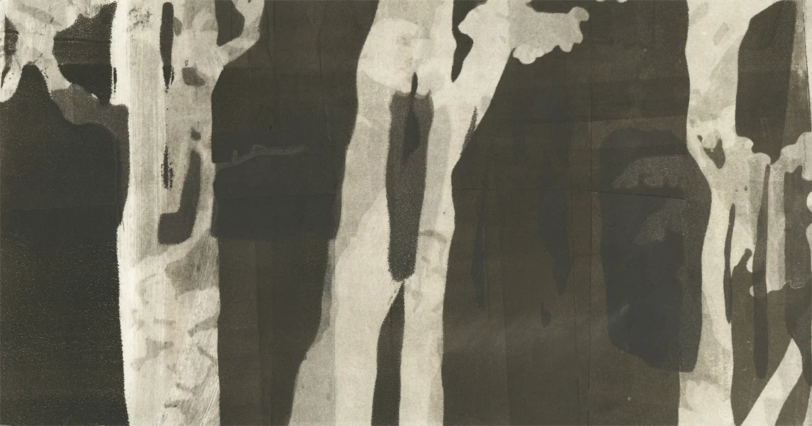 Embree_Into_the_deep_forest_4.jpg