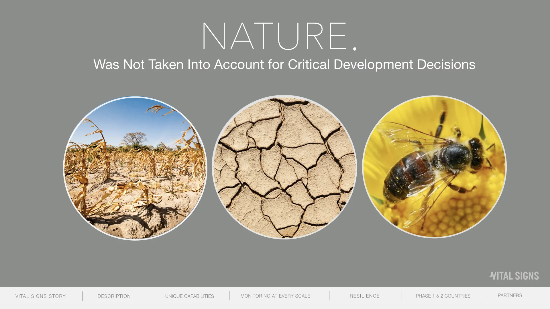 Vital Signs Look Book DRAFT.002.jpeg