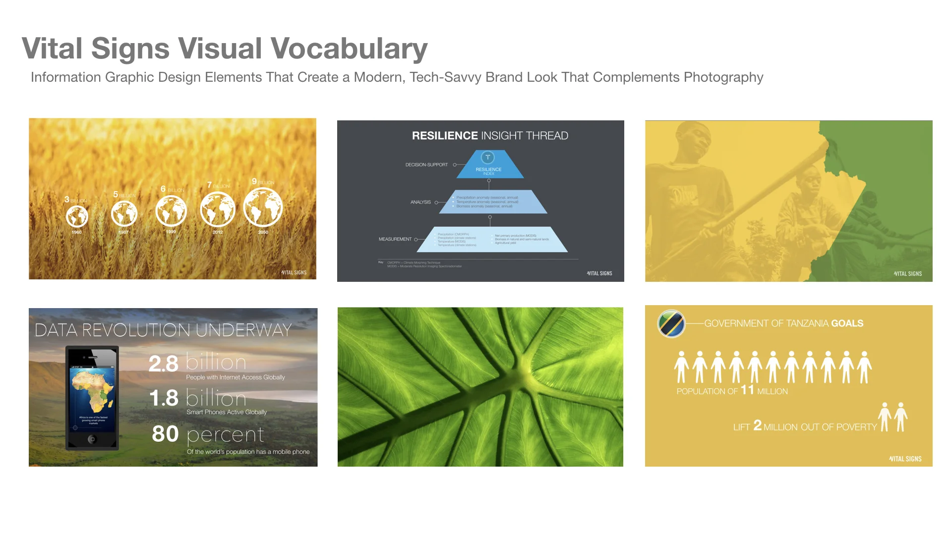 Vital Signs Look Book DRAFT 2.001.jpeg