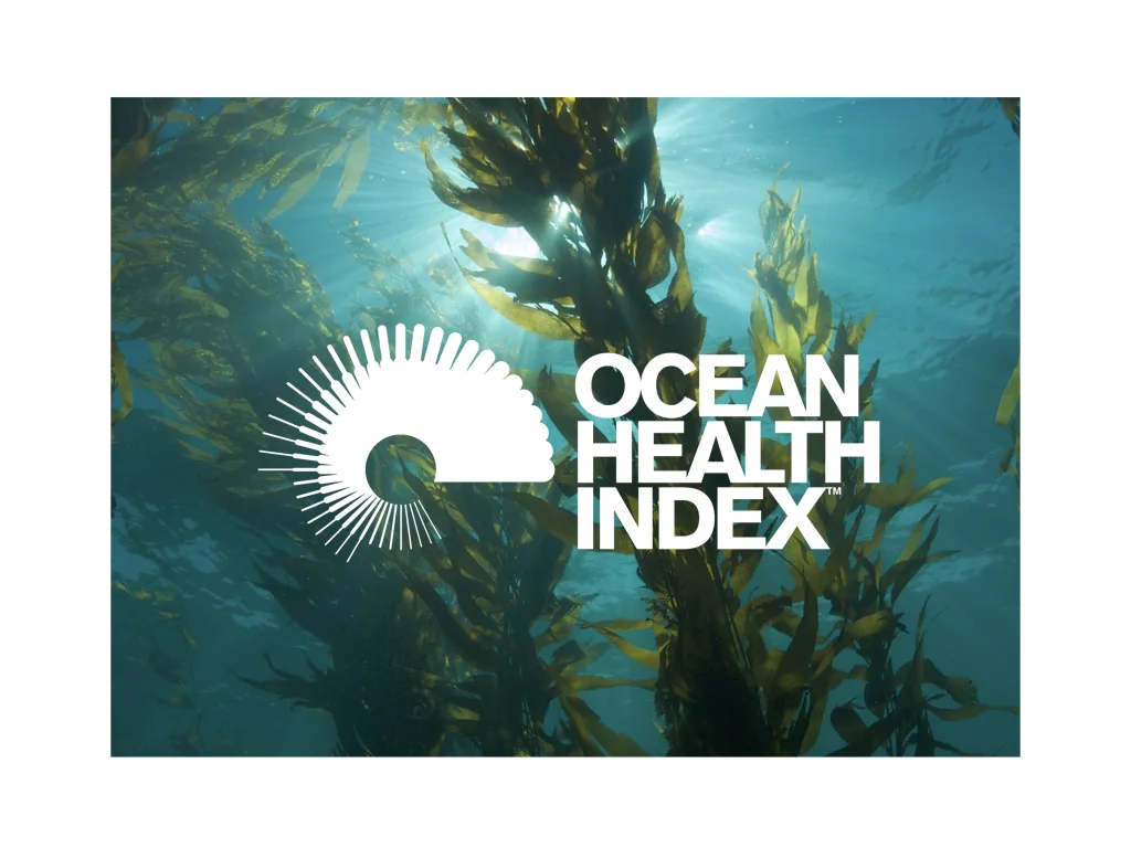 OHI and PBOA with white.001.jpeg