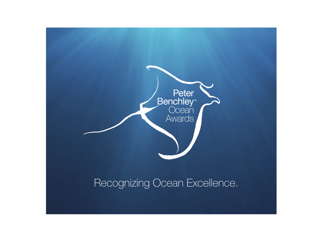 PBOS logo with white border.001.jpeg